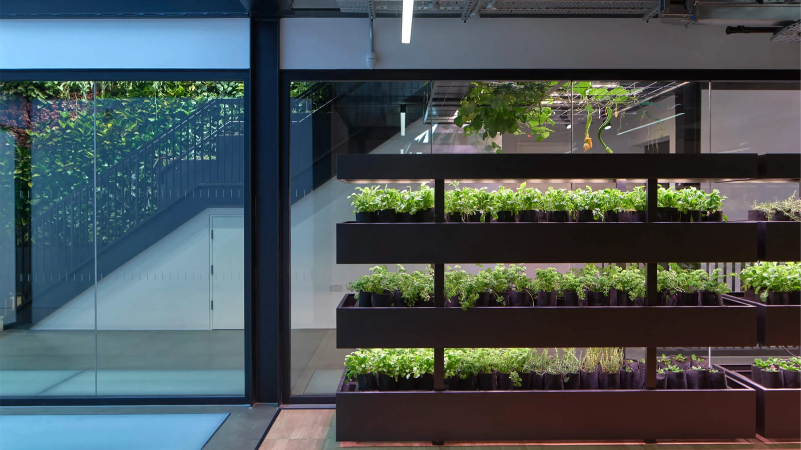 Lighting upgrades and ESG reporting