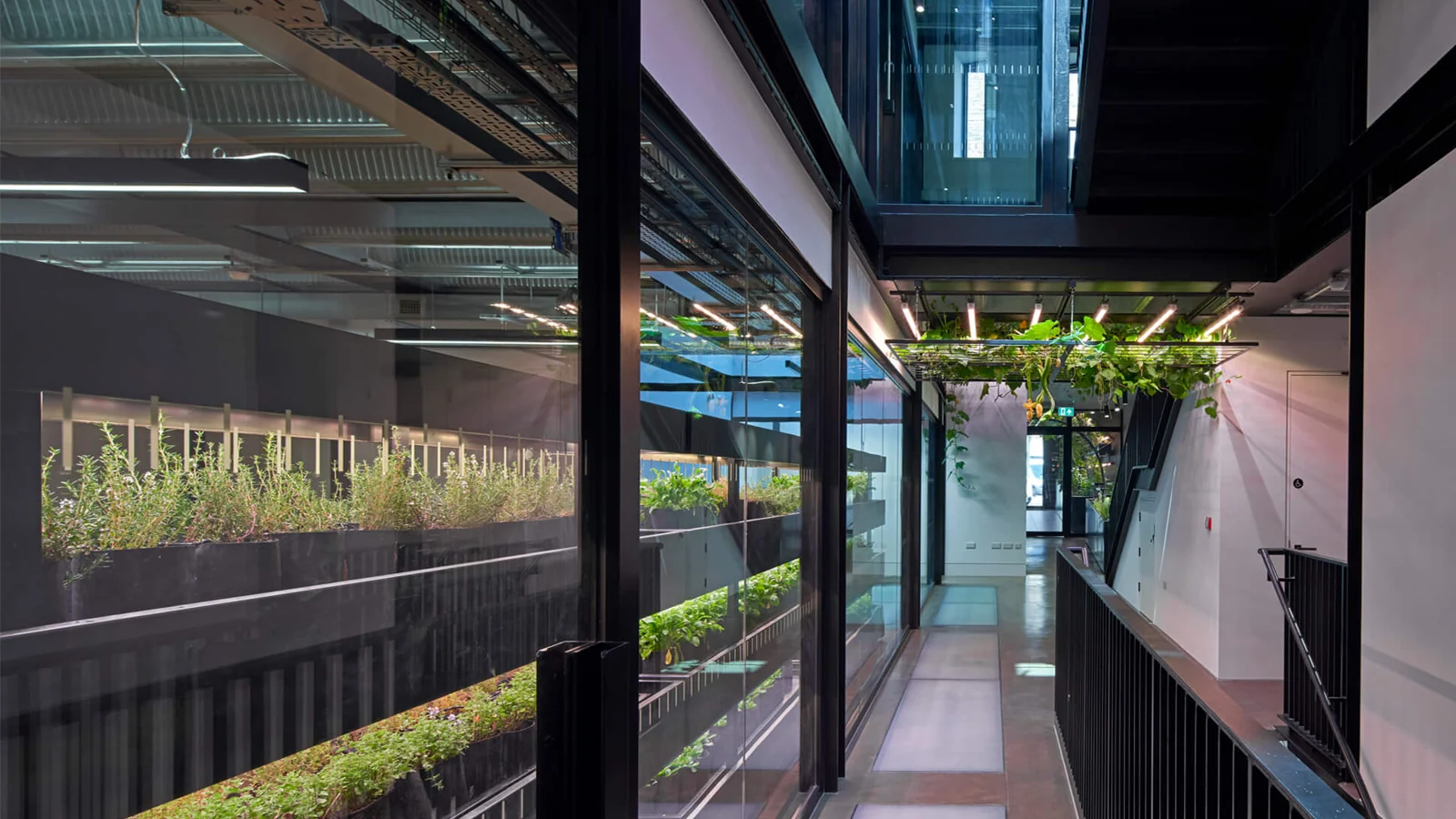 Lighting's role in net zero buildings