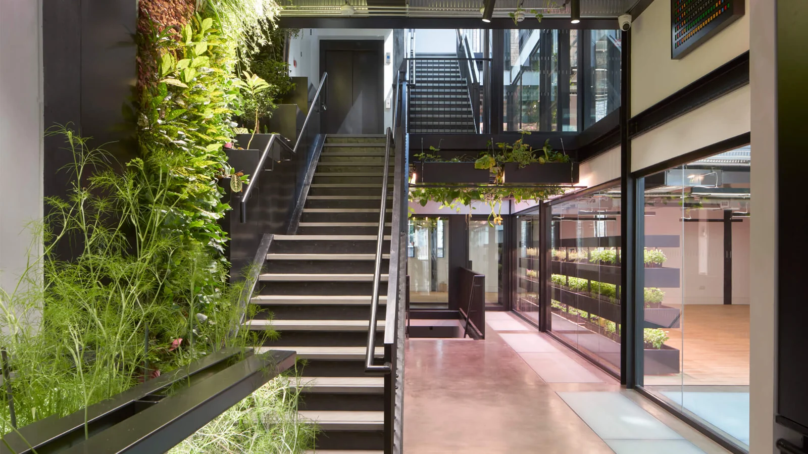 Office stair with planting and refurbished lighting